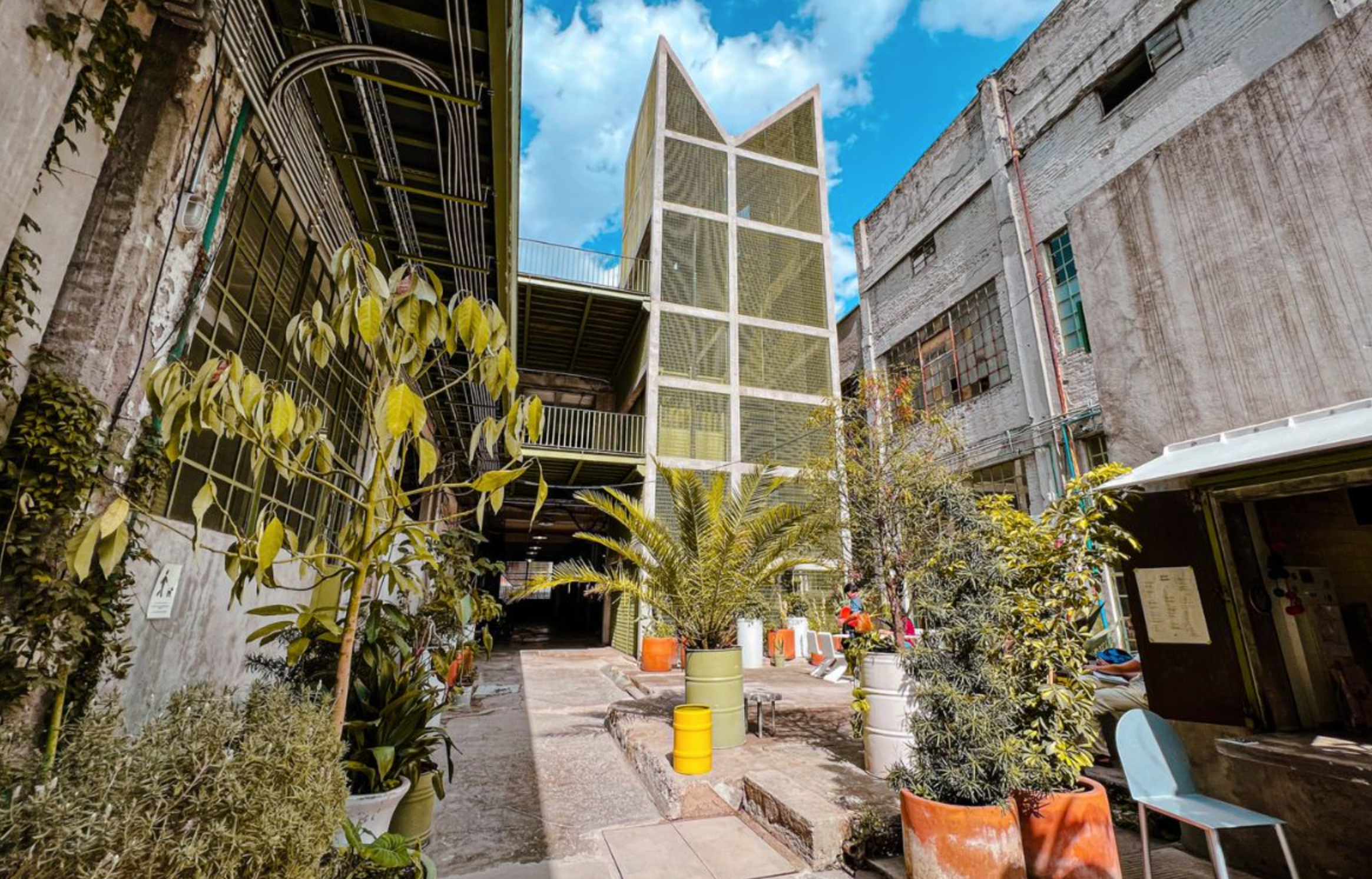 10 cafeterías bonitas en CDMX que todos deberían conocer